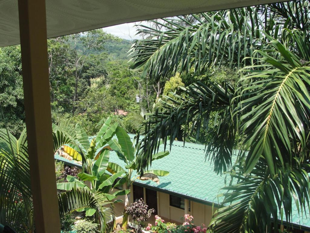 Big Bamboo De Uvita Rum bild