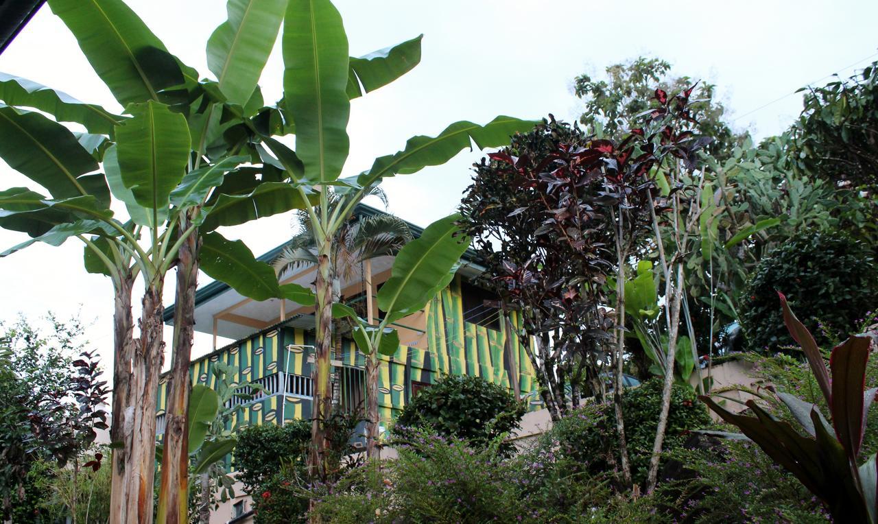 Big Bamboo De Uvita Exteriör bild